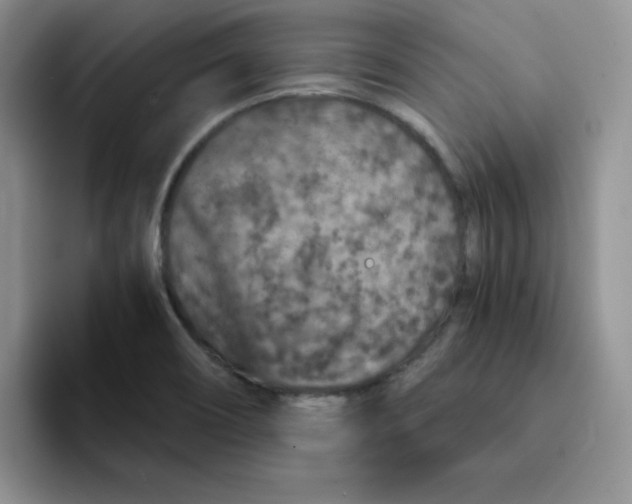 X0000091651466200709201117