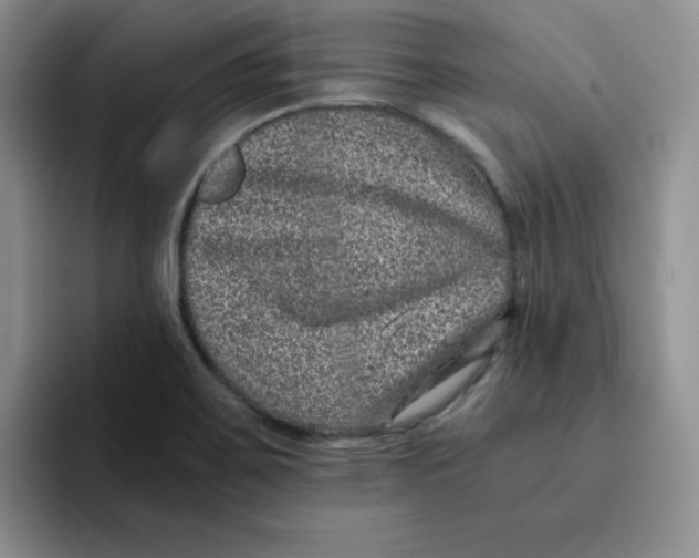 X0000091651467200709201117