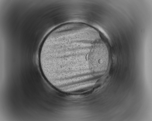 X0000091651468200709201117