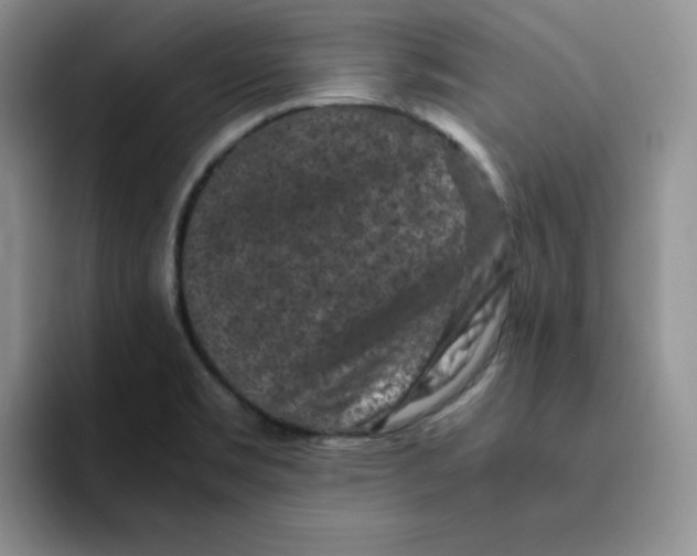 X0000091651469200709201117