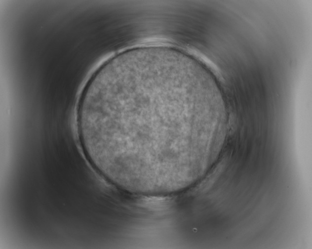 X0000091651470200709201117