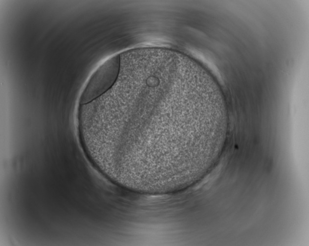 X0000091651471200709201117