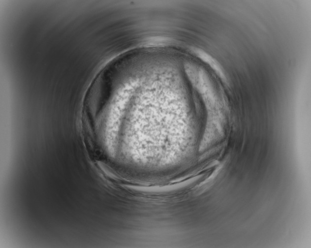 X0000091651473200709201117