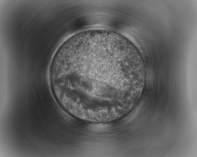 X0000091651474200709201117