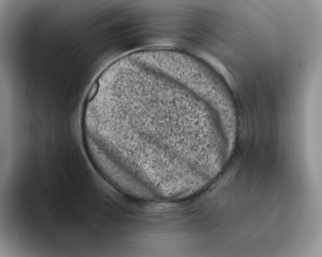 X0000091651475200709201117