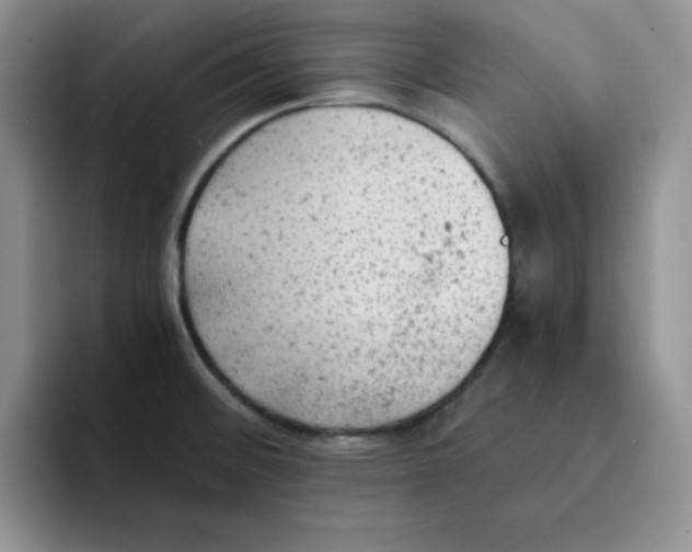 X0000091651476200709201117