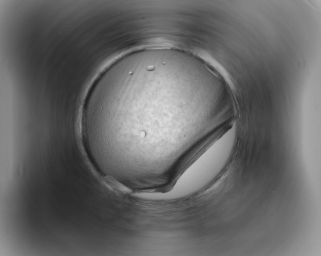 X0000091651477200709201117