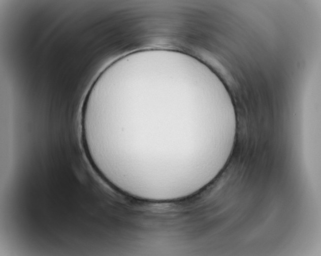 X0000091651479200709201117