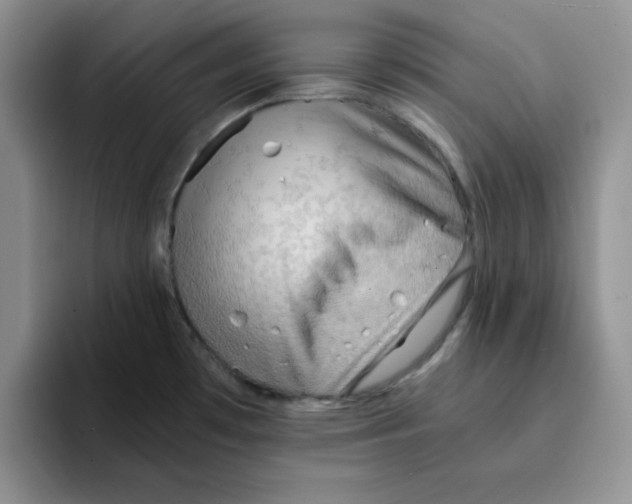 X0000091651481200709201117