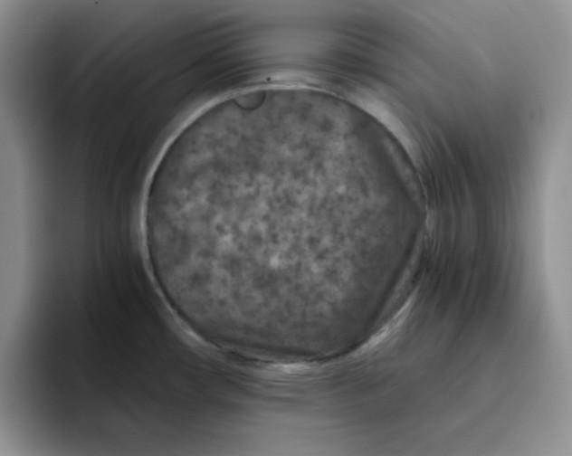 X0000091651482200709201117