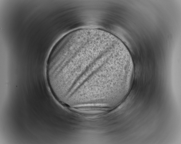 X0000091651484200709201117