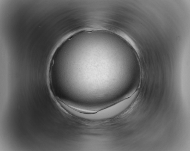 X0000091651485200709201117