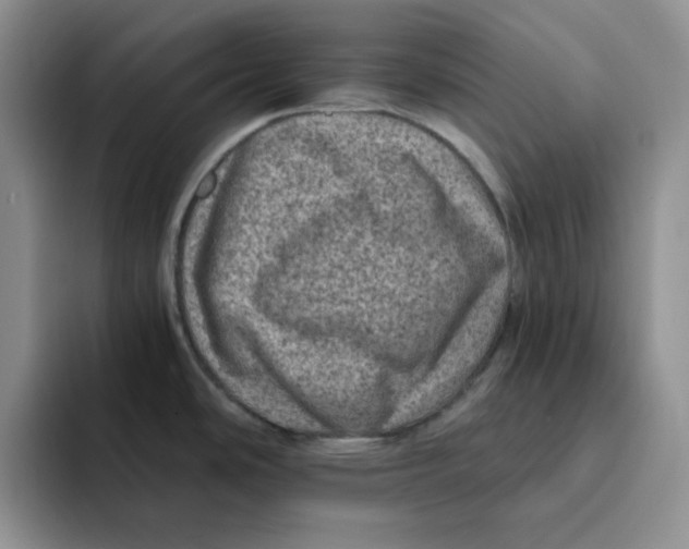 X0000091651486200709201117