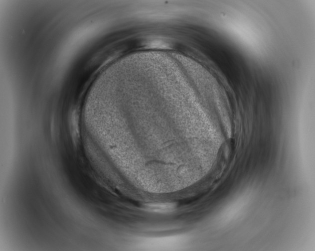 X0000091651487200709201117