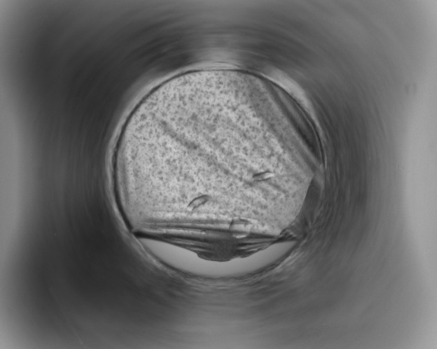 X0000091651488200709201117