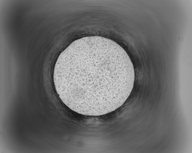 X0000091651489200709201116