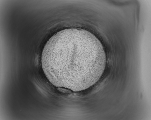 X0000091651490200709201116