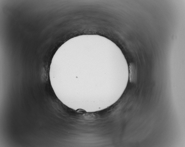 X0000091651491200709201116