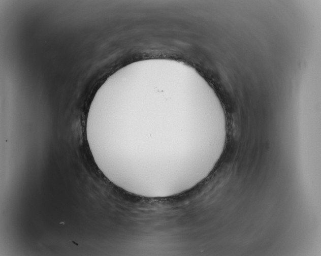 X0000091651493200709201116