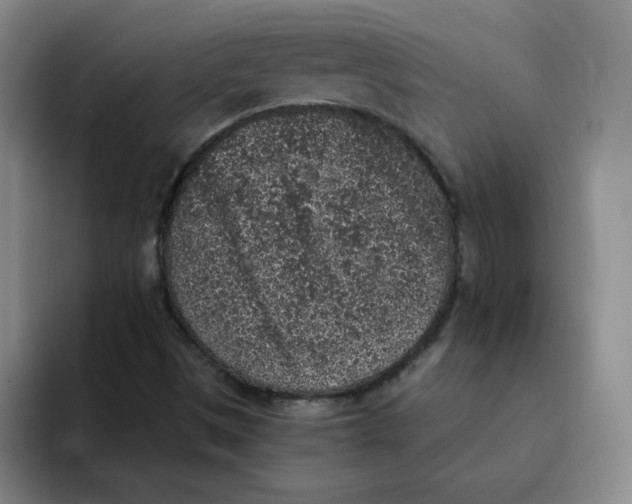 X0000091651497200709201117