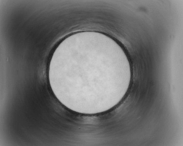 X0000091651498200709201117