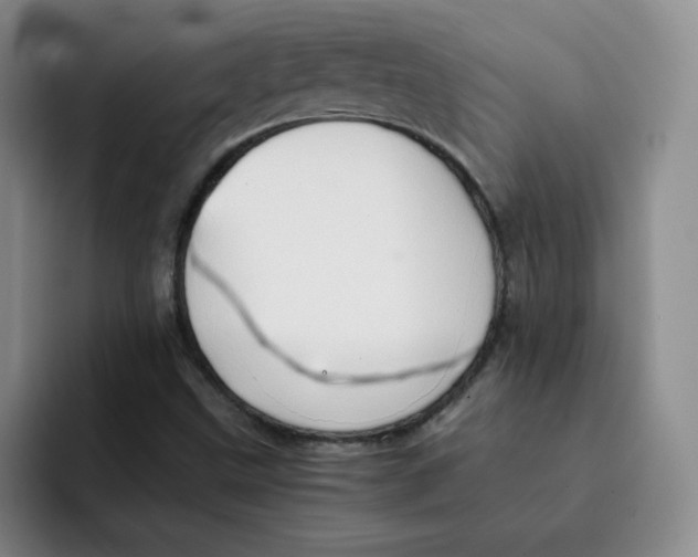 X0000091651499200709201117