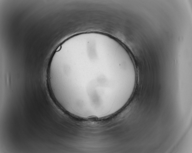 X0000091651500200709201117