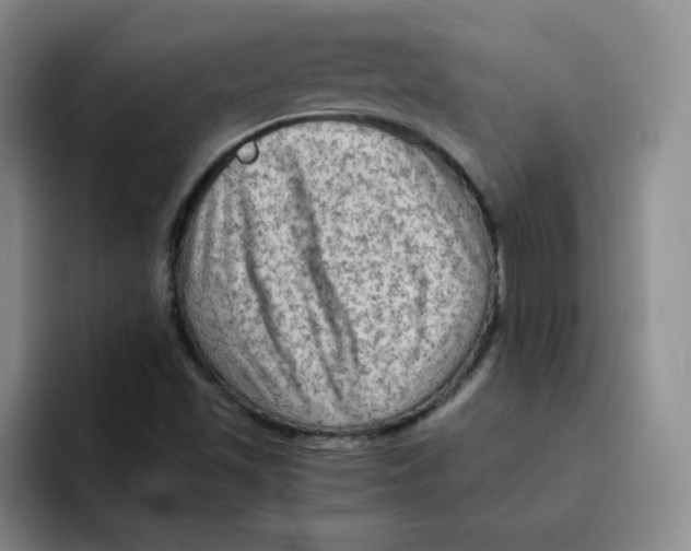 X0000091651501200709201117