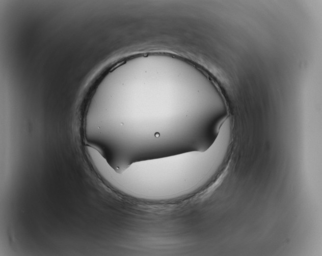 X0000091651502200709201117