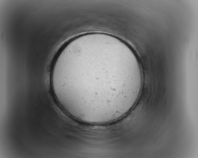 X0000091651503200709201117