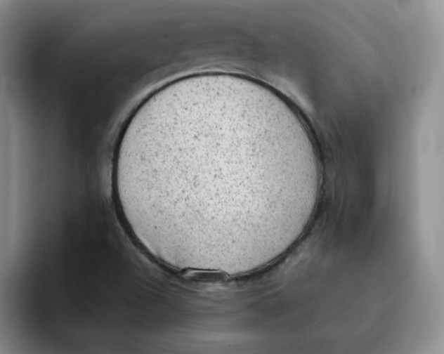 X0000091651504200709201117