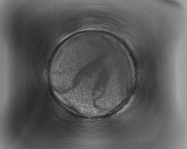 X0000091651505200709201117