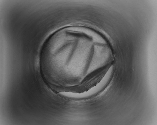 X0000091651506200709201117