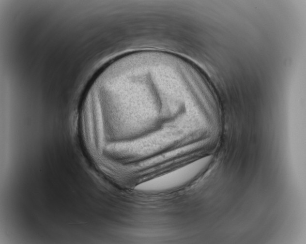 X0000091651507200709201117