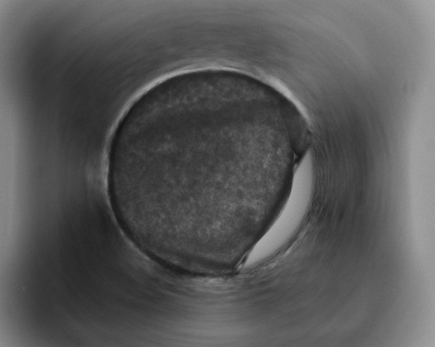 X0000091651508200709201117