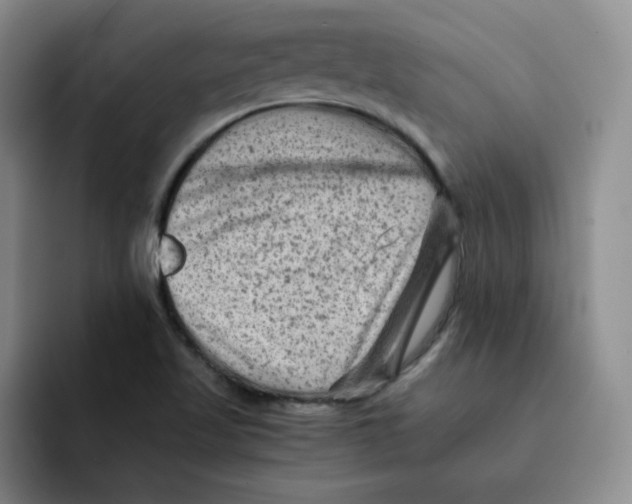 X0000091651509200709201117