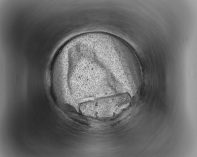 X0000091651510200709201117