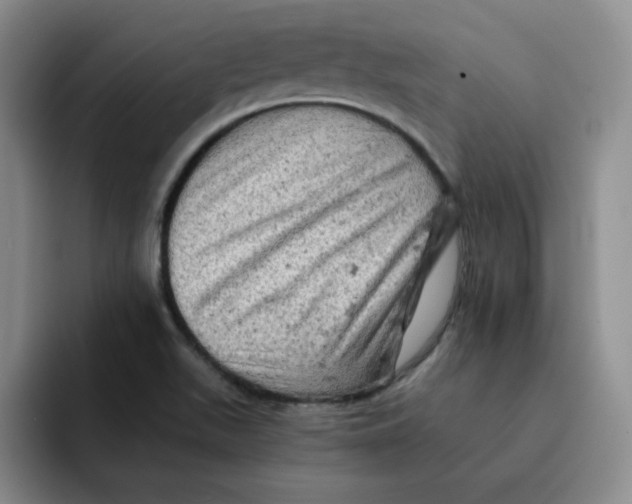 X0000091651511200709201117