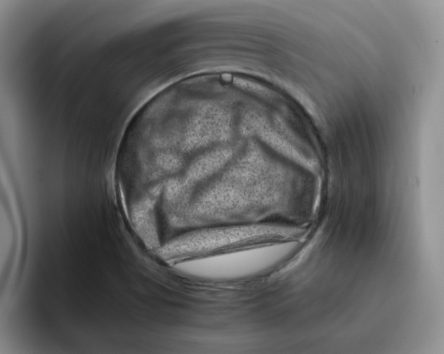 X0000091651513200709201117