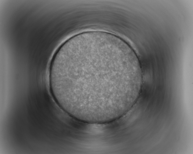 X0000091651514200709201117