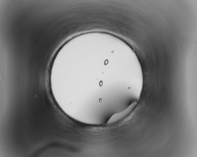 X0000091651518200709201117