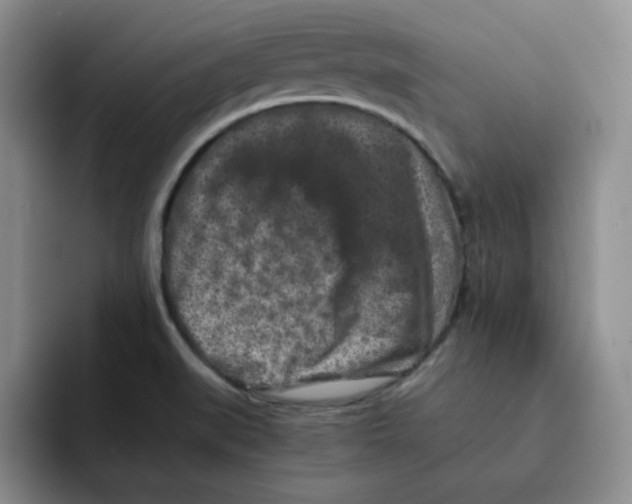 X0000091651519200709201117