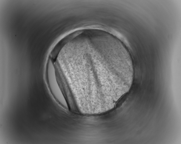 X0000091651520200709201117