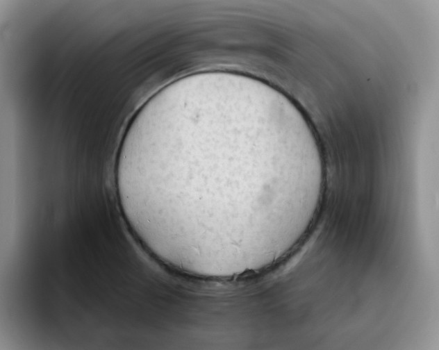 X0000091651521200709201117