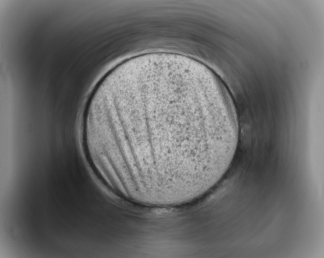 X0000091651523200709201117