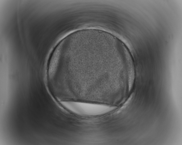 X0000091651525200709201117