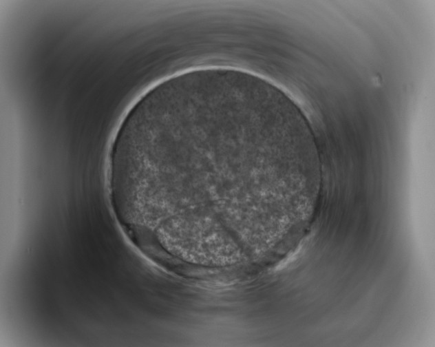 X0000091651527200709201117