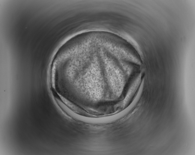 X0000091651528200709201117