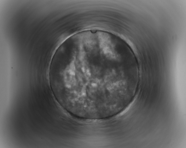 X0000091651529200709201117