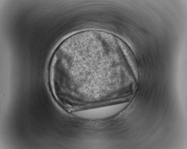 X0000091651531200709201117